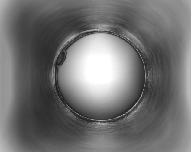 X0000096671180200802051004