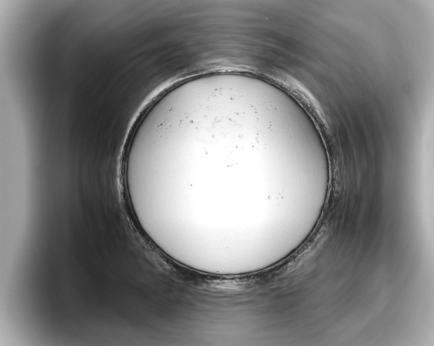 X0000096671182200802051004
