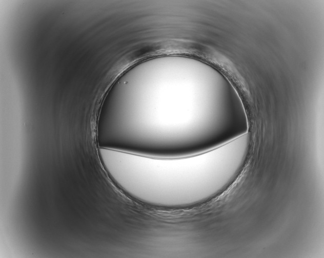 X0000096671185200802051004