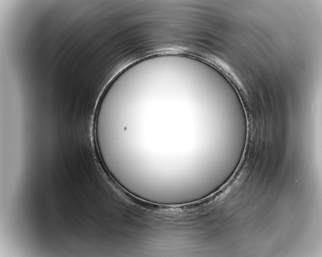 X0000096671186200802051004