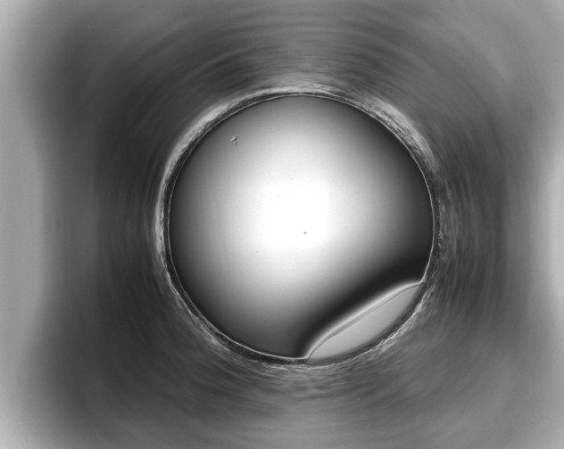 X0000096671188200802051004