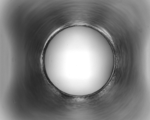 X0000096671190200802051004