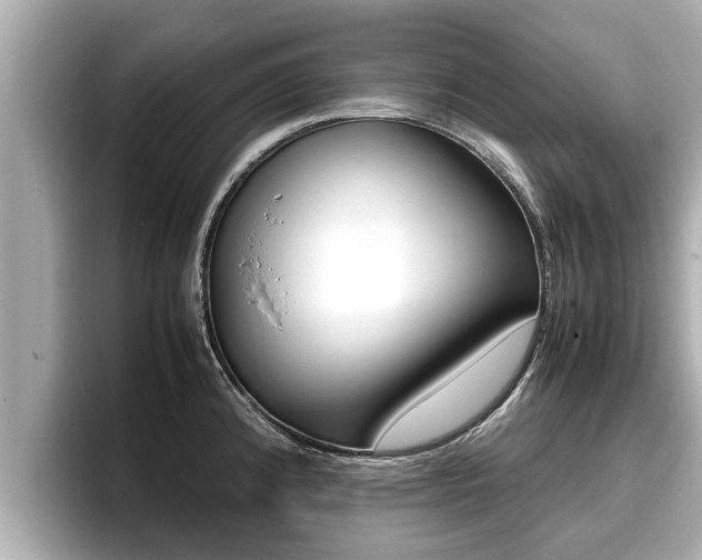 X0000096671192200802051004
