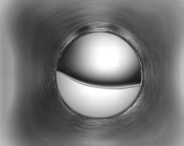 X0000096671193200802051003