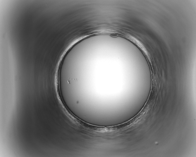 X0000096671195200802051003
