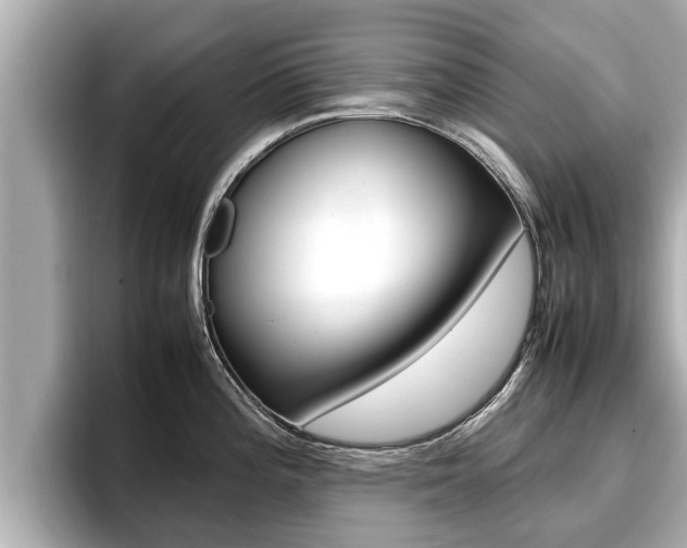 X0000096671196200802051003