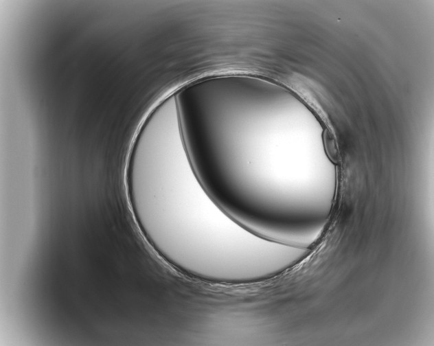 X0000096671197200802051003