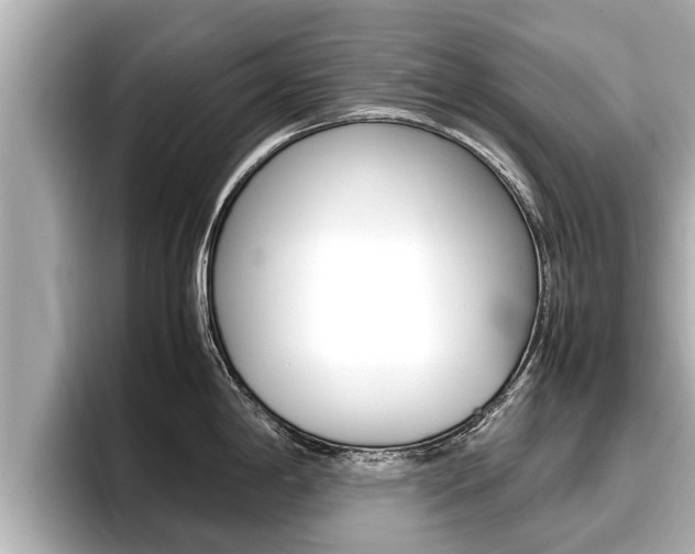 X0000096671198200802051003