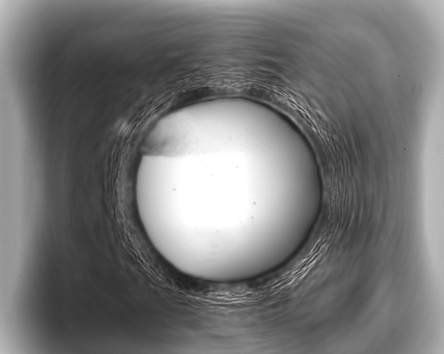 X0000096671201200802051003