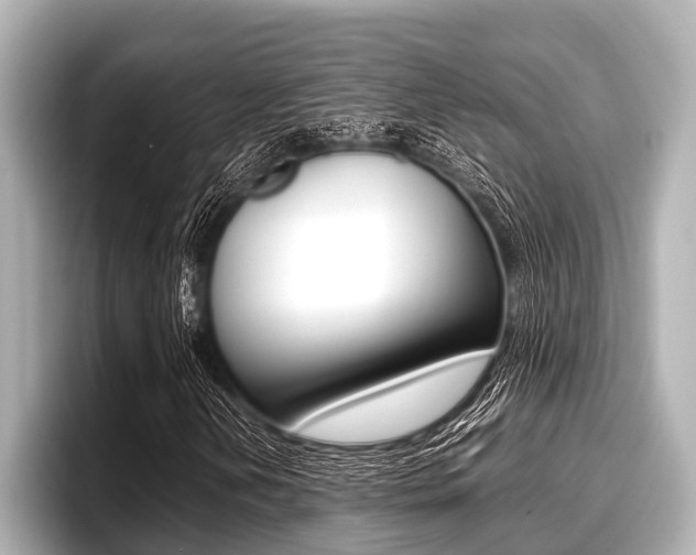 X0000096671202200802051003