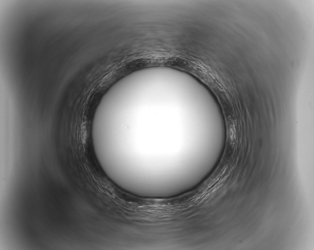 X0000096671204200802051003