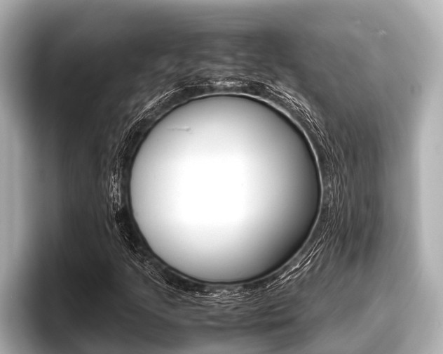 X0000096671205200802051003