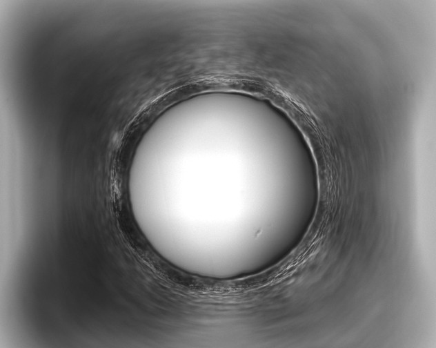 X0000096671206200802051003