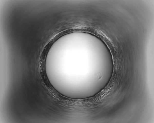 X0000096671208200802051003