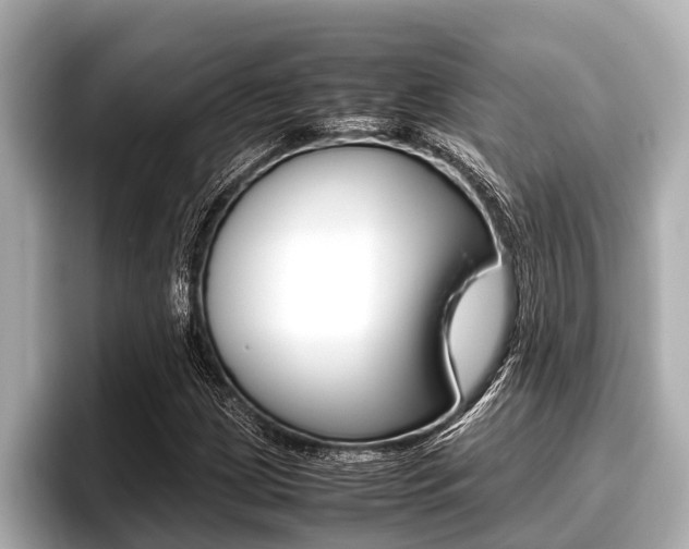 X0000096671209200802051003