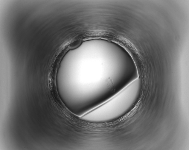 X0000096671210200802051003