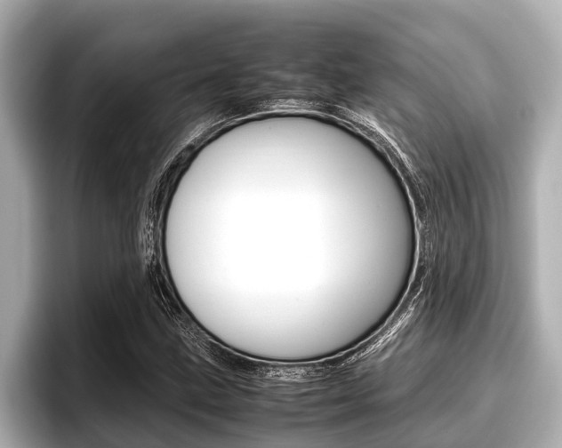 X0000096671211200802051003