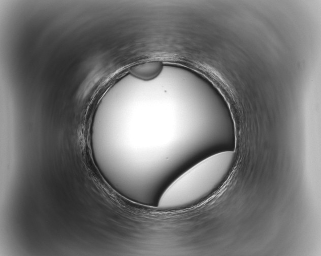 X0000096671212200802051003