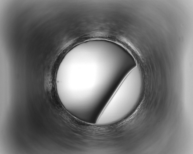 X0000096671213200802051003