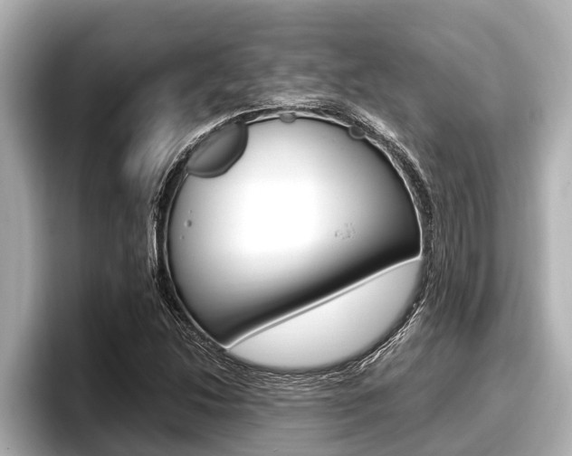 X0000096671214200802051003