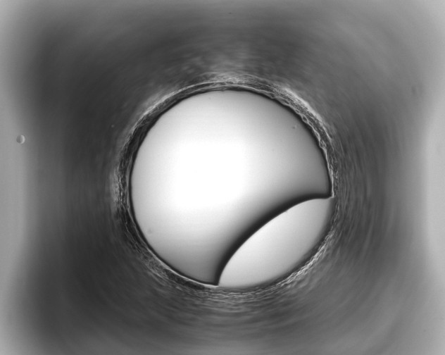 X0000096671215200802051003