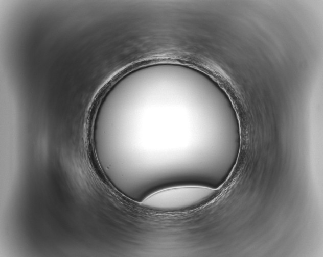 X0000096671216200802051003