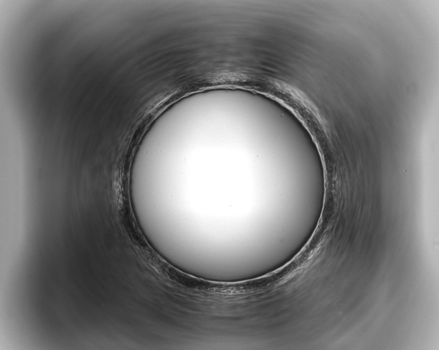 X0000096671217200802051003