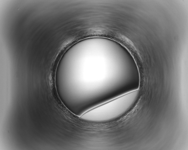 X0000096671218200802051003