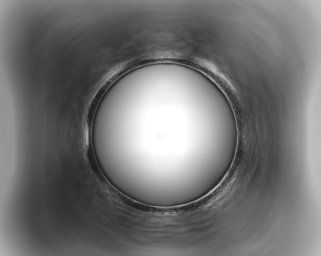 X0000096671221200802051003