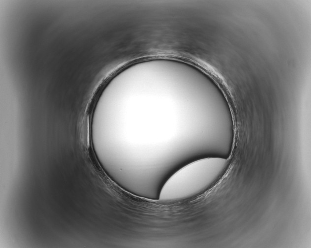 X0000096671223200802051003