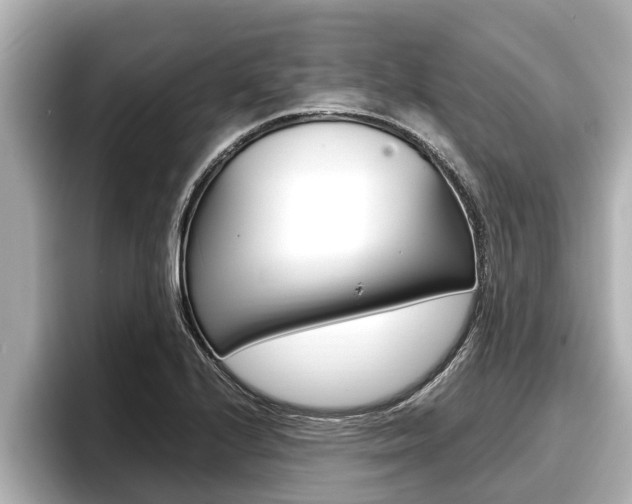 X0000096671224200802051003