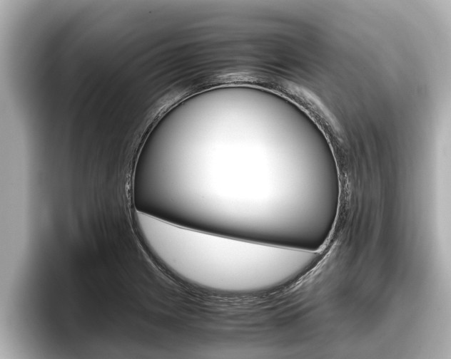 X0000096671225200802051003