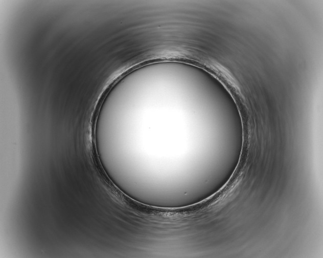 X0000096671226200802051003