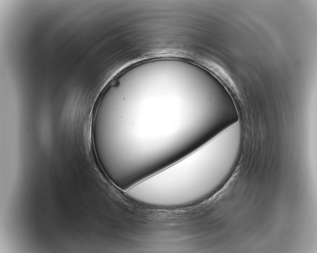 X0000096671228200802051003