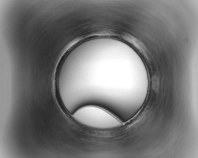 X0000096671229200802051003