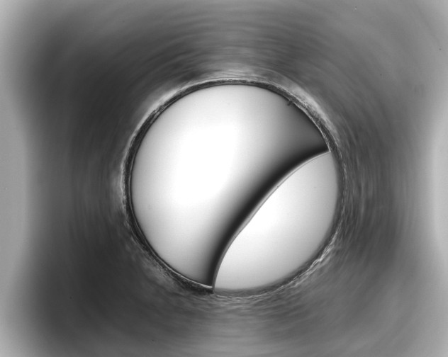 X0000096671230200802051003