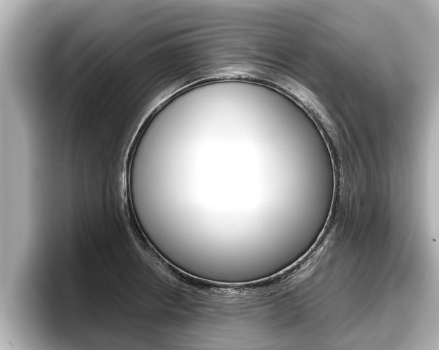 X0000096671234200802051003
