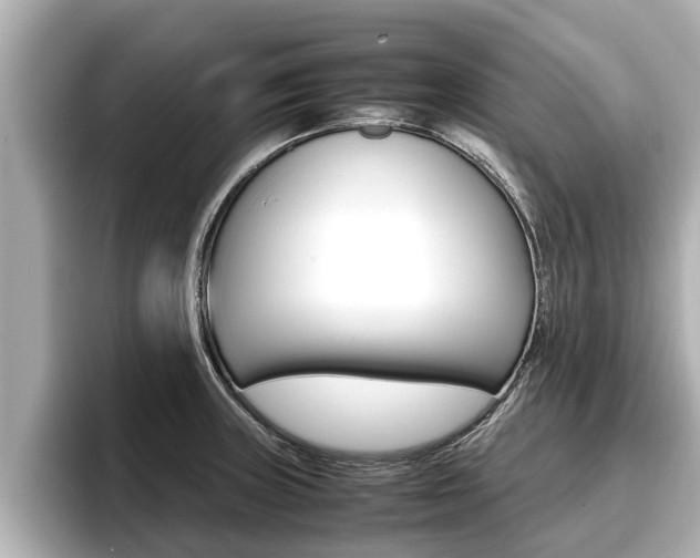 X0000096671235200802051003