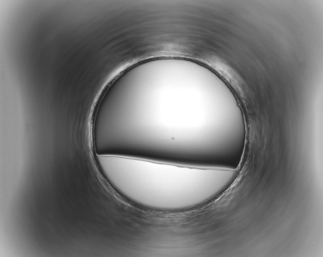 X0000096671238200802051003