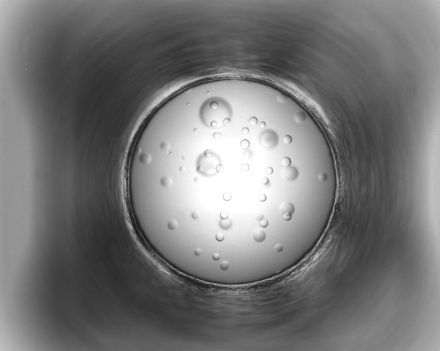 X0000096671239200802051003