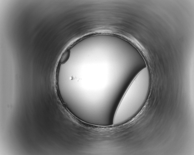 X0000096671240200802051003