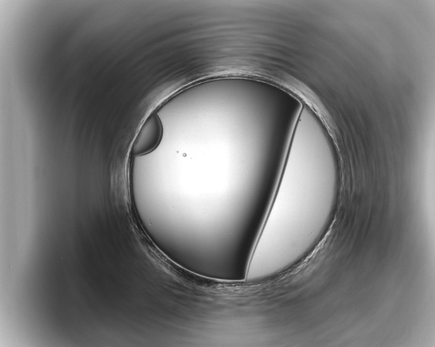 X0000096671242200802051003
