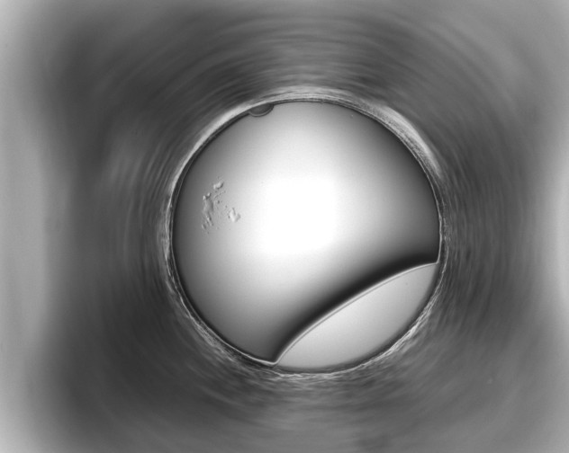 X0000096671244200802051003