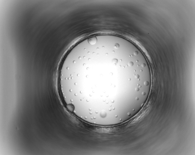 X0000096671245200802051003