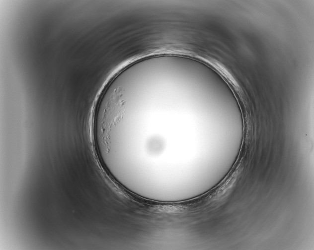 X0000096671246200802051003