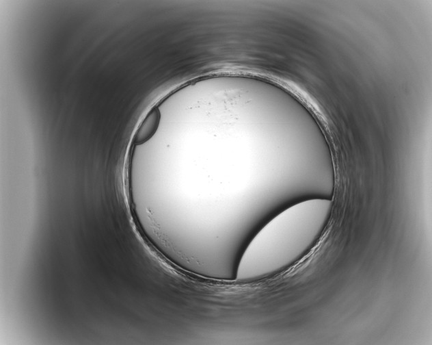 X0000096671247200802051003