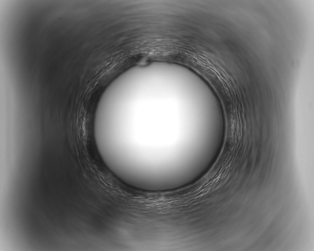X0000096671250200802051003