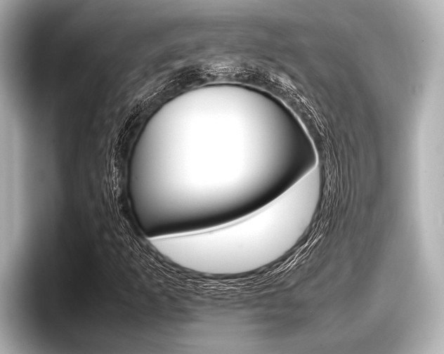 X0000096671253200802051003