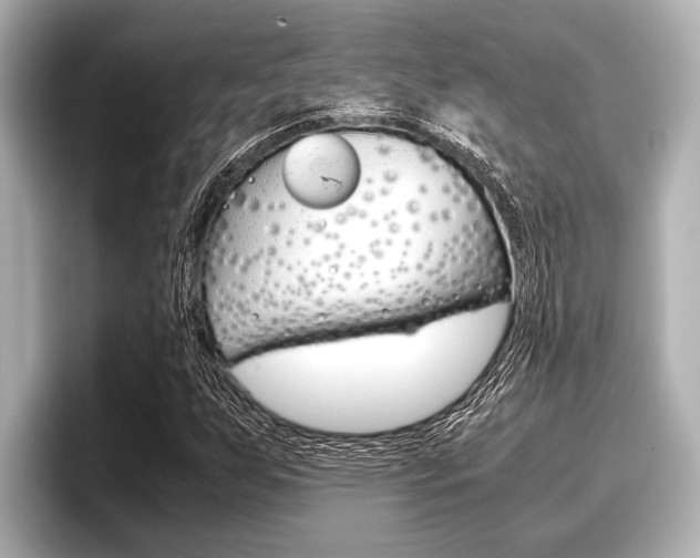 X0000096671255200802051003