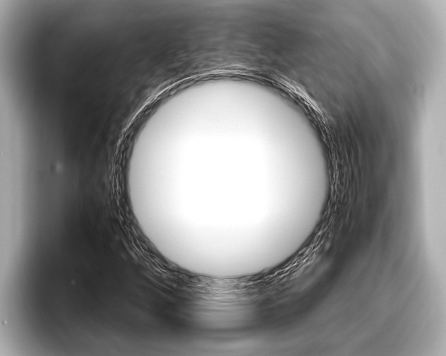 X0000096671256200802051003